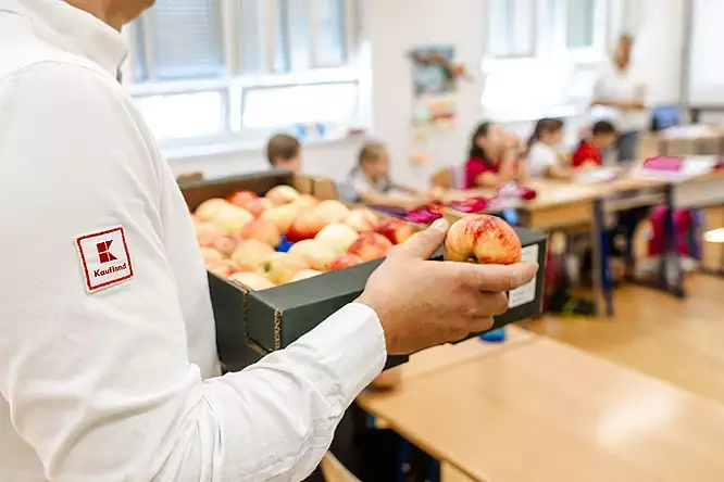 Otvoreno je glasanje za Kaufland školu ViP u školskoj godini 2025./2026.