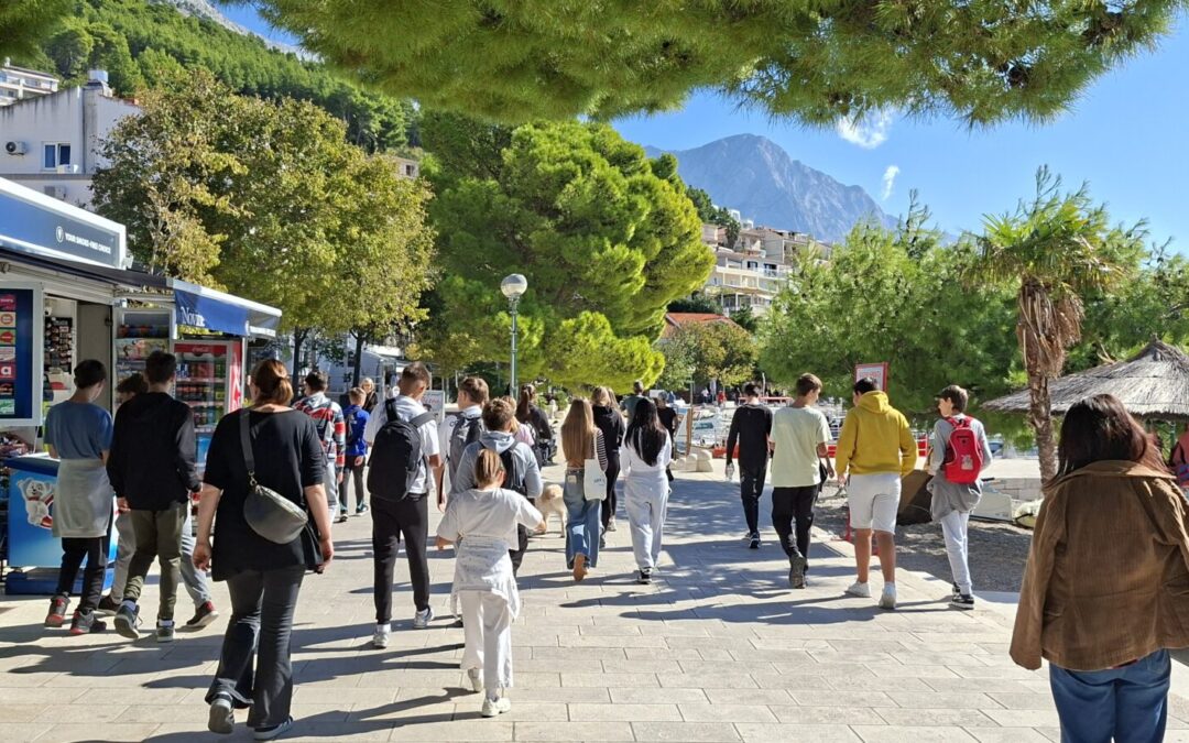 Međunarodni dan pješačenja