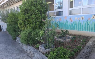 Zahvala TZ Općine Baška Voda